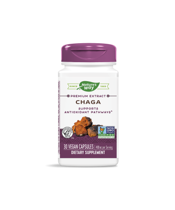 Chaga / Чага 480 mg x 30 капсули Nature’s Way
