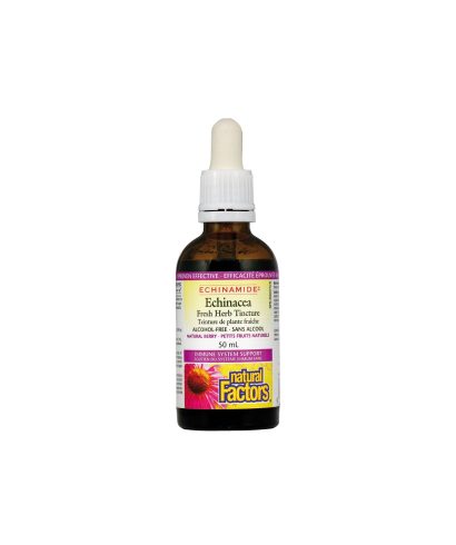 Простуда и грип Echinamide® - Тинктура с ехинацея, 50 ml (без алкохол) Natural Factors