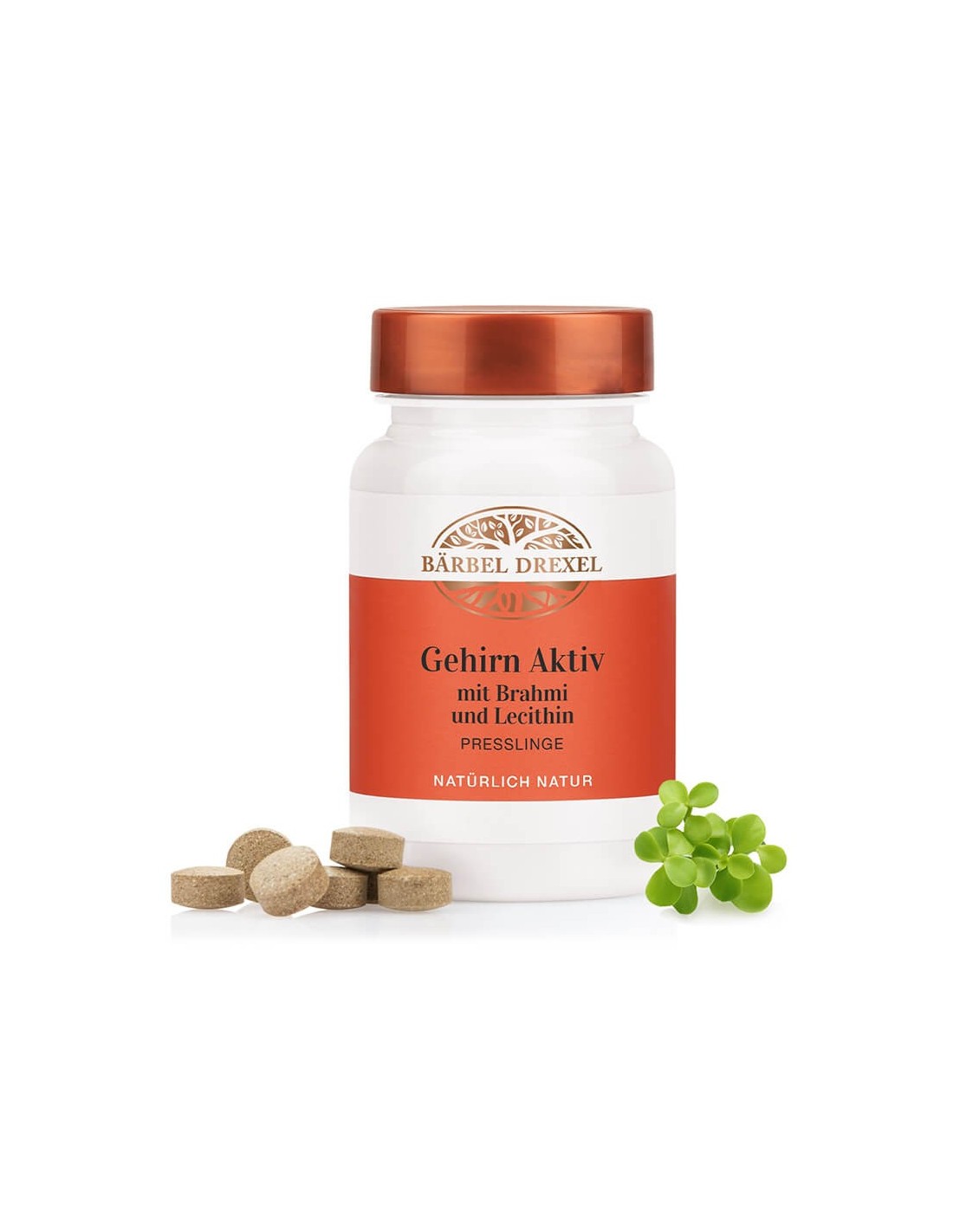 gehirn-aktiv-mit-brahmi-und-lecithin-pamet-koncentraciya-90-tabletki.jpg
