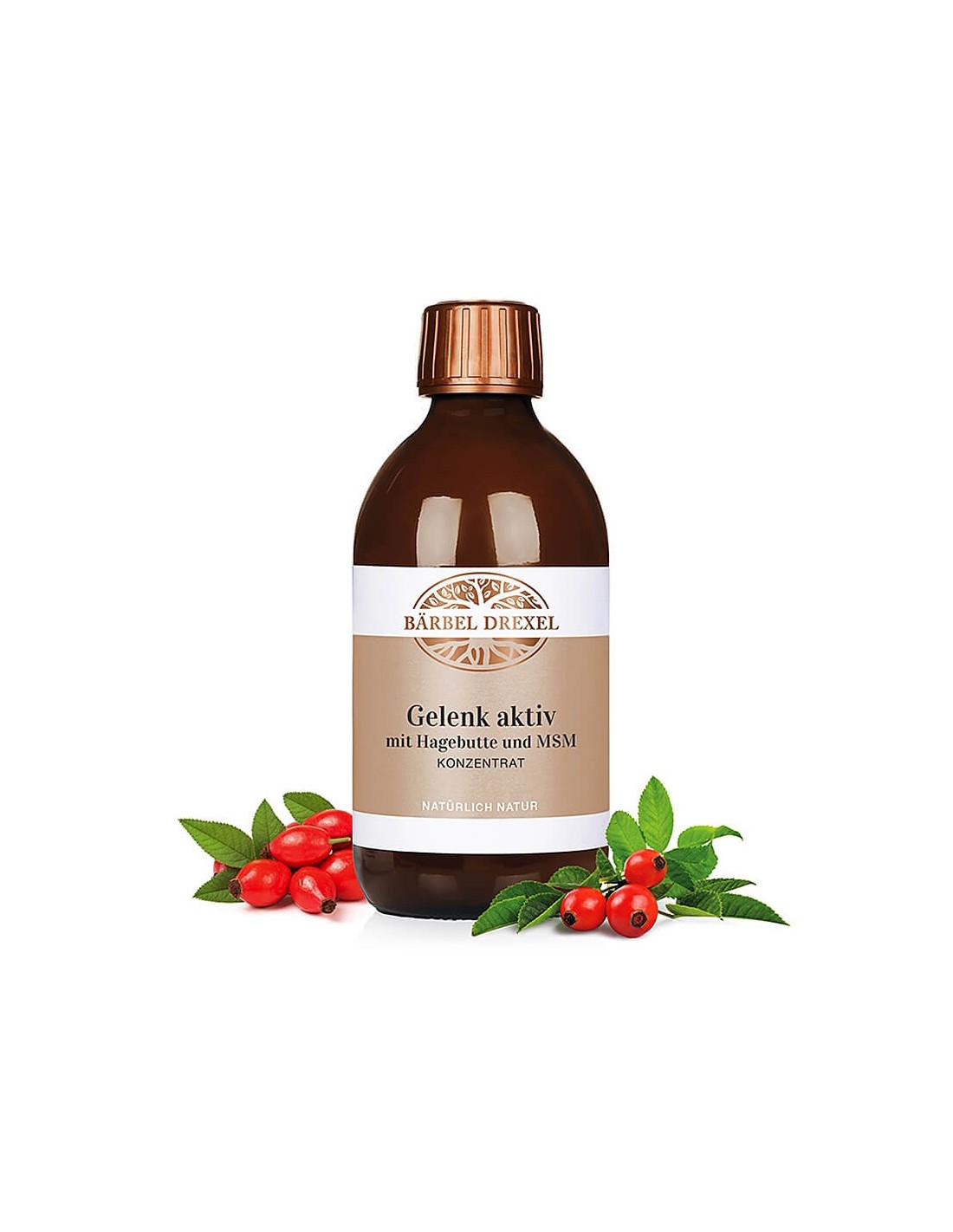 gelenk-aktiv-mit-hagebutte-und-msm-techna-formula-za-muskuli-i-stavi-s-msm-khialuronova-kiselina-vitamin-s-i-shipka-300-ml.jpg