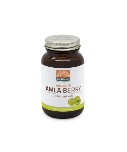 Имунитет - Амла, 500 mg x 60 капсули Mattisson Healthstyle