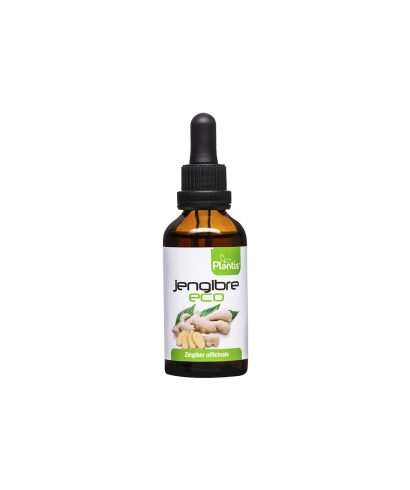 Jengibre Eco – Джинджифил (тинктура), 50 ml Artesania