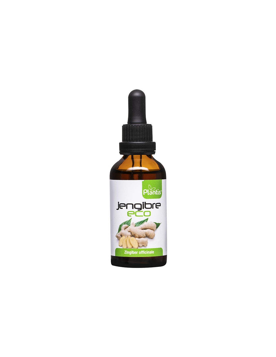 jengibre-eco-dzhindzhifil-tinktura-50-ml.jpg