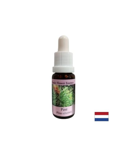При чувство на вина - Есенция Бор № 24, капки 15 ml