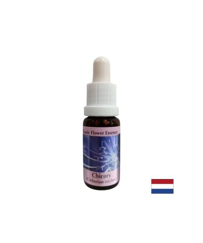 За фокусиране върху себе си - Есенция Цикория № 8, капки 15 ml