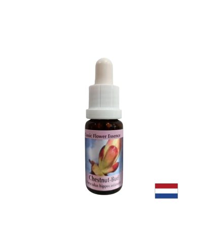 Премахва енергийните блокажи - Есенция Кестенови пъпки № 7, капки 15 ml