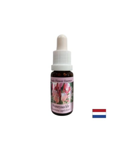 Насърчава позитивността - Есенция Орлови нокти № 16, капки 15 ml