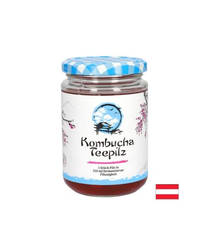Подсилва имунитета - Комбуча Чаена гъба с ферментирал плодов чай, 200 ml