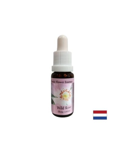 Повишава активността и мотивацията - Есенция Шипка № 37, капки 15 ml