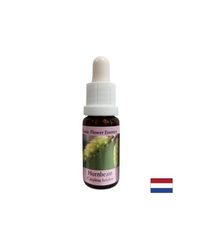 За повече енергия и мотивация - Есенция Габър № 17, капки 15 ml