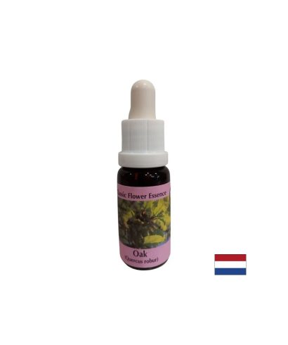 Зарежда с енергия - Есенция Дъб № 22, капки 15 ml