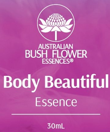Body-Beautiful-australian-bush-flower-1