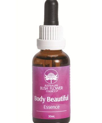 Body-Beautiful-australian-bush-flower.
