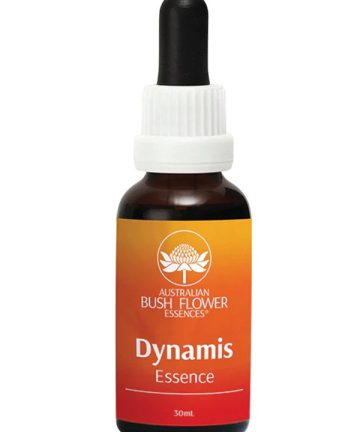 Dynamis-australian-bush-flower