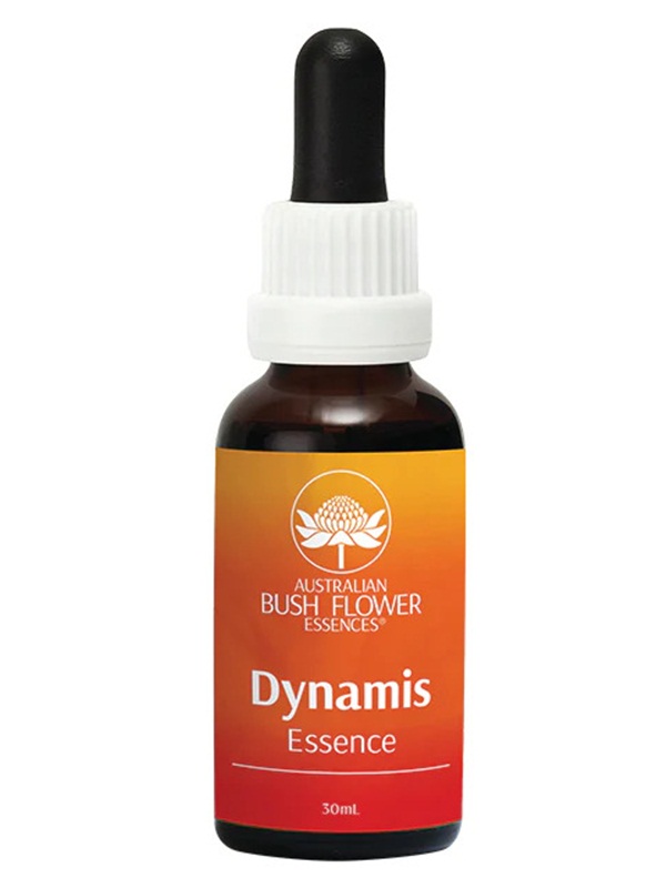 Dynamis-australian-bush-flower