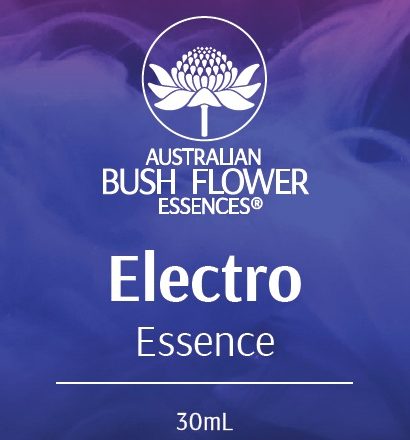Australian-bush-flower-Electro 1