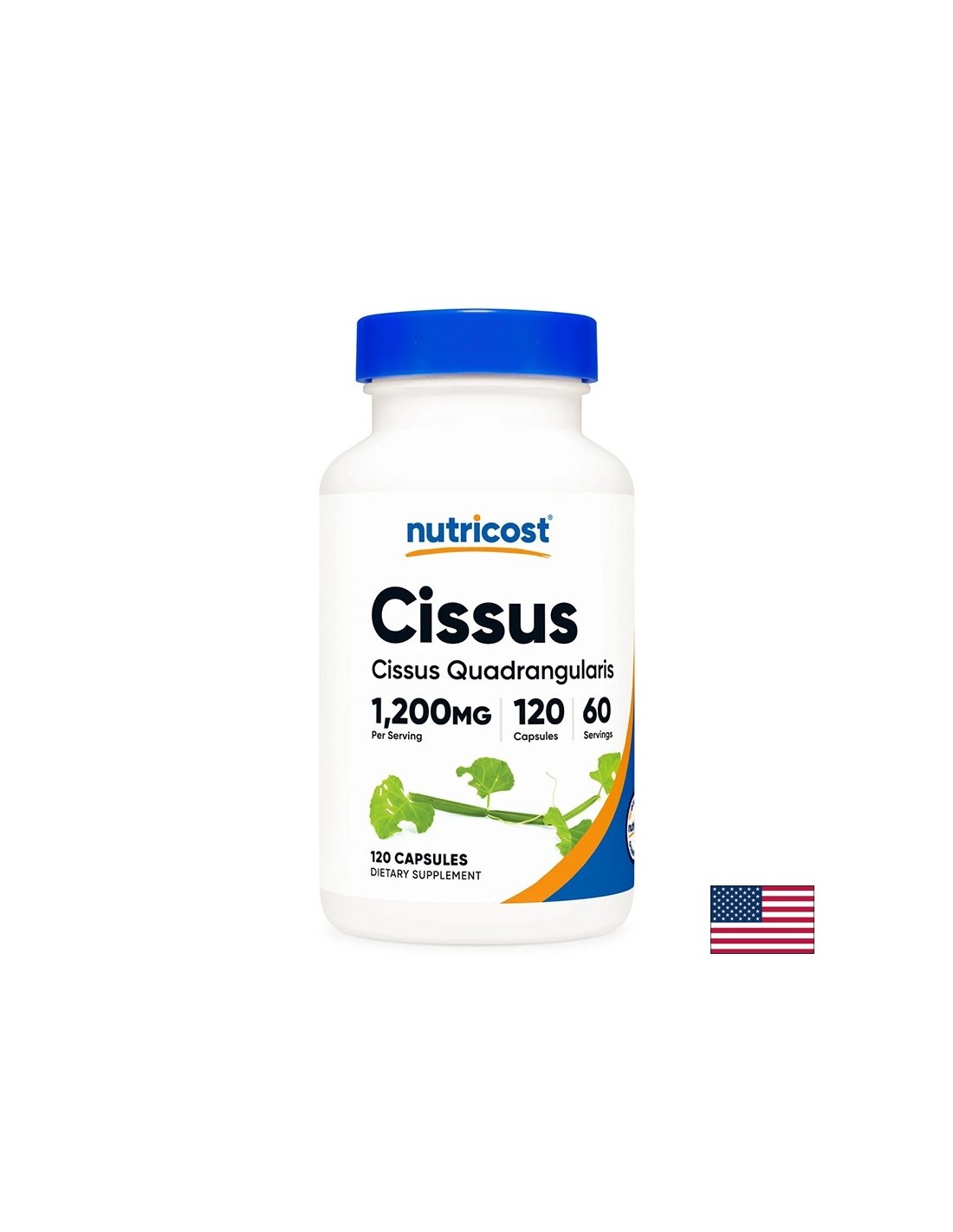 cisus-pri-bolezneni-i-skovani-stavi-1200-mg-120-kapsuli.jpg