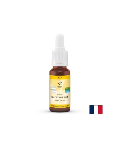 Цветна есенция Кестенова пъпка (Chestnut Bud) N°7 – Осъзнатост и учене от опита, 20 ml капки
