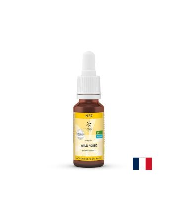 Цветна есенция Шипка (Wild Rose) N°37 – Жизненост и ангажираност при апатия, 20 ml капки