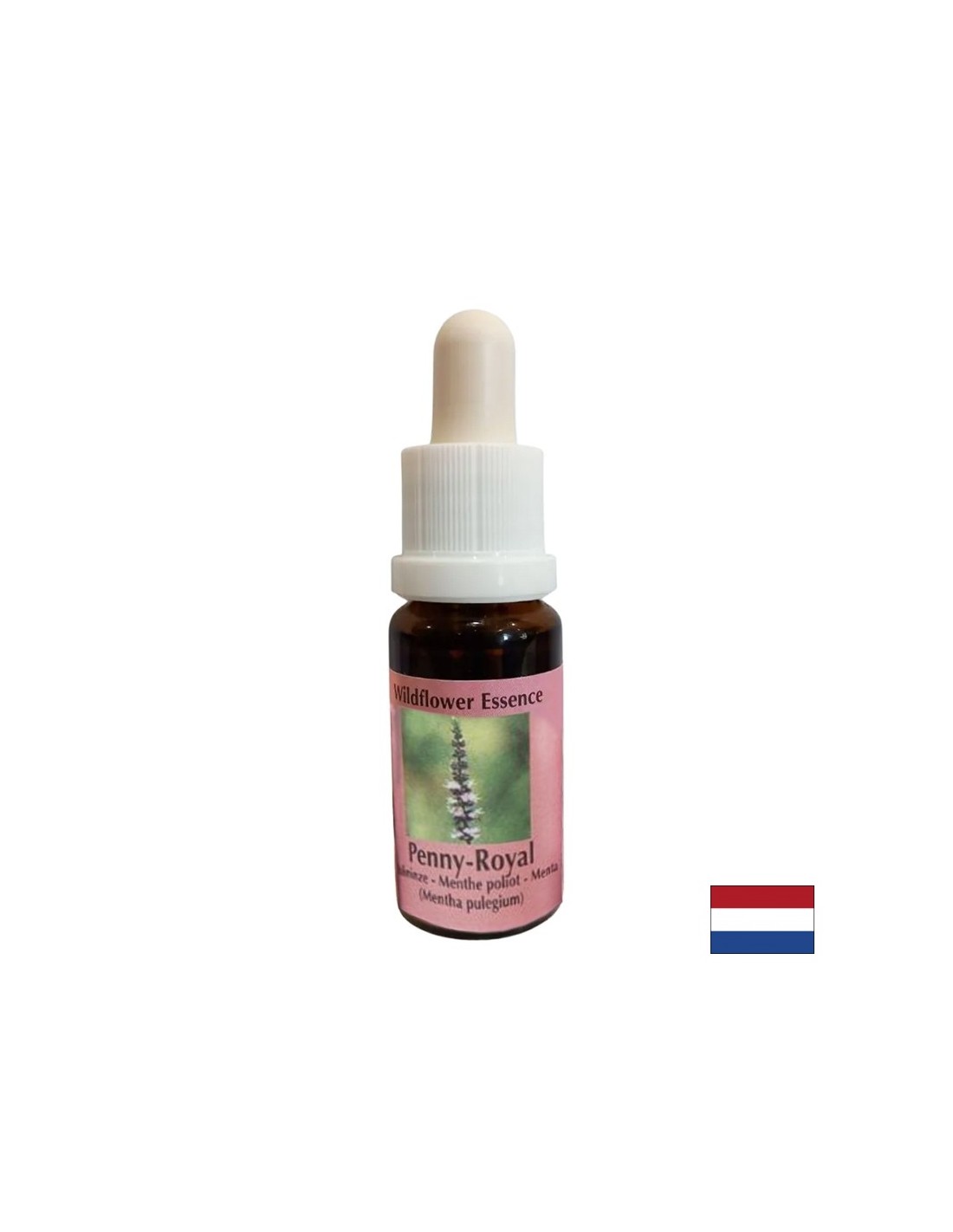 esenciya-menta-54-energijna-zasshita-i-psikhichna-yasnota-15-ml-kapki.jpg