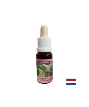 Есенция Пипер №51 – Сетивна яснота и енергийна активация, 15 ml капки